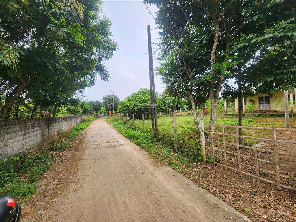 Đất thị trấn mặt tiền gần 25m sẵn 1145m thổ cư sp đẹp cho nhà đầu tư đón sóng!