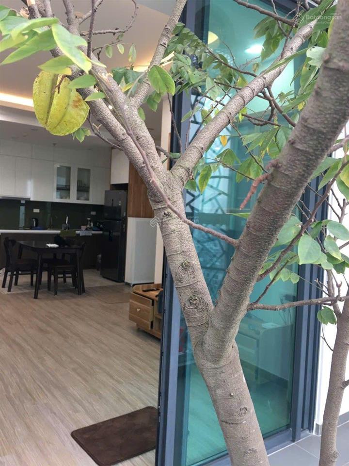 Cho thuê cc flc quang trung, 75m2 2 ngủ 2 vs. đủ đồ đẹp. 10tr/th ở ngay. 0907 833 ***