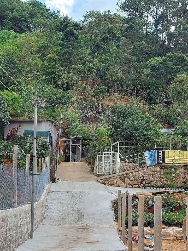 BÁN NHÀ ĐƯỜNG NGUYỄN ĐÌNH QUÂN P5 (Cam Ly) TP ĐÀ LẠT 