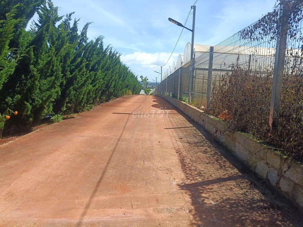 BÁN LÔ ĐẤT 2 MT SỔ HỒNG RIÊNG XD KHU QH 
