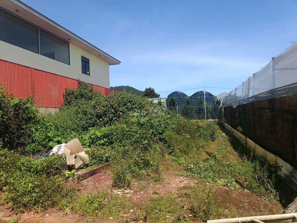BÁN LÔ ĐẤT 2 MT SỔ HỒNG RIÊNG XD KHU QH 