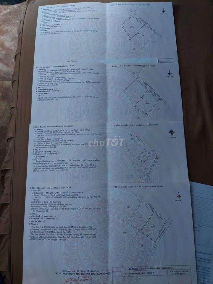 BÁN 1 HOẶC TRONG 3 LÔ ĐẤT SỔ RIÊNG NN MỖI SỔ HƠN 1000m2 P11 TP ĐÀ LẠT