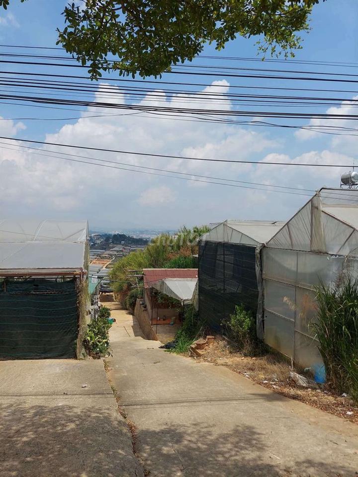 BÁN LÔ ĐẤT VỊ TRÍ ĐẮT ĐỊA MT ĐƯỜNG HÙNG VƯƠNG P XUÂN TRƯỜNG TP ĐÀ LẠT 