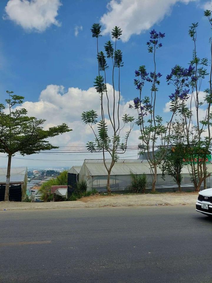 BÁN LÔ ĐẤT VỊ TRÍ ĐẮT ĐỊA MT ĐƯỜNG HÙNG VƯƠNG P XUÂN TRƯỜNG TP ĐÀ LẠT 