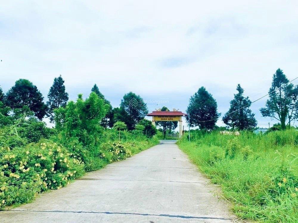 Cần bán nền trục chính khu di tích giàn gừa, nhơn nghĩa  phong điền.