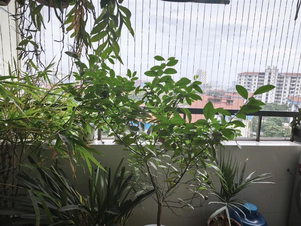 Chính chủ cần bán gấp căn hộ 73m tại việt hưng