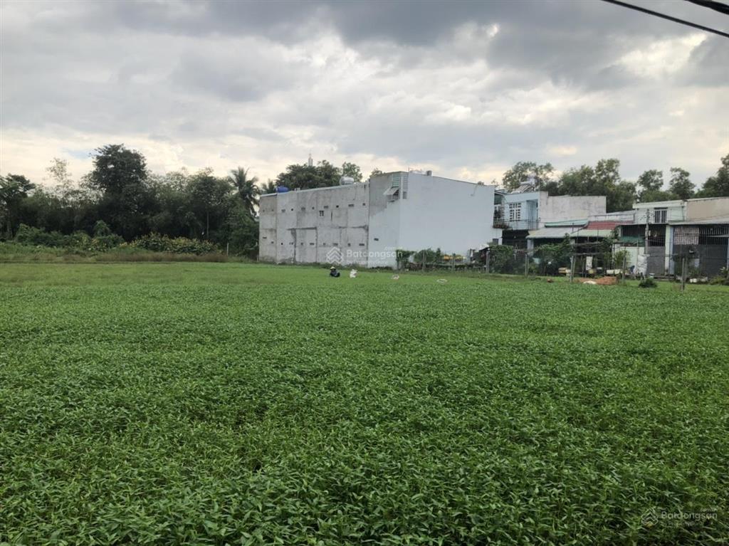 Bán 3000m đất bình mỹ củ chi  0968 111 ***