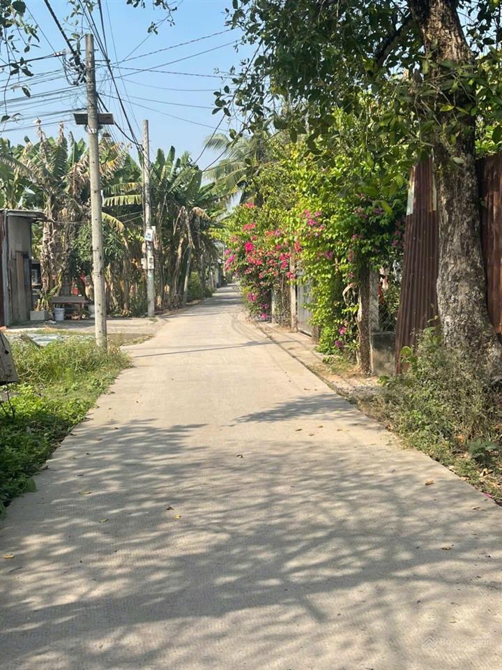 Bán 3000m đất bình mỹ củ chi  0968 111 ***