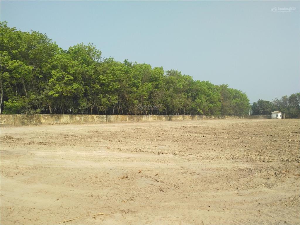 Bán đất qh skc, xây dựng kho, xưởng, mặt tiền vành đai 4 và đt748 an điền, bến cát, bình dương