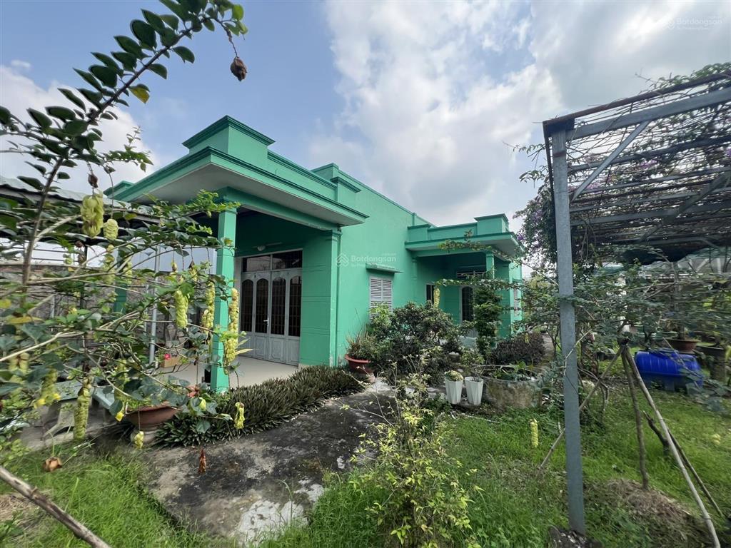 Bán biệt thự lớn mặt tiền đường tỉnh lộ đt 826, xã mỹ lệ, cần đước, long an, tây ninh gần 3000m2