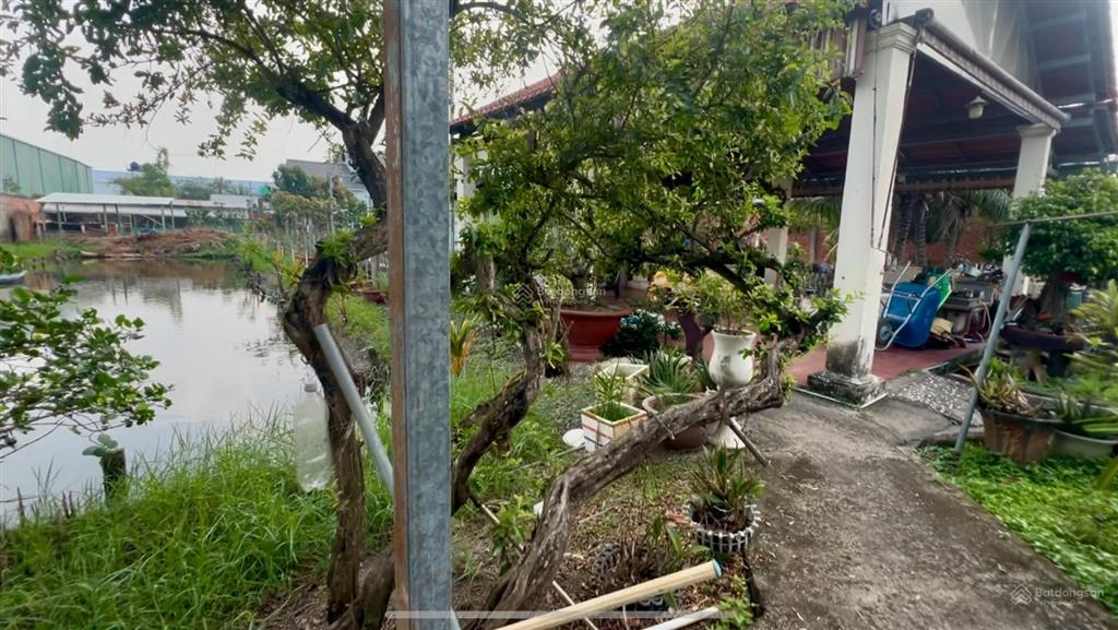 Bán biệt thự lớn mặt tiền đường tỉnh lộ đt 826, xã mỹ lệ, cần đước, long an, tây ninh gần 3000m2
