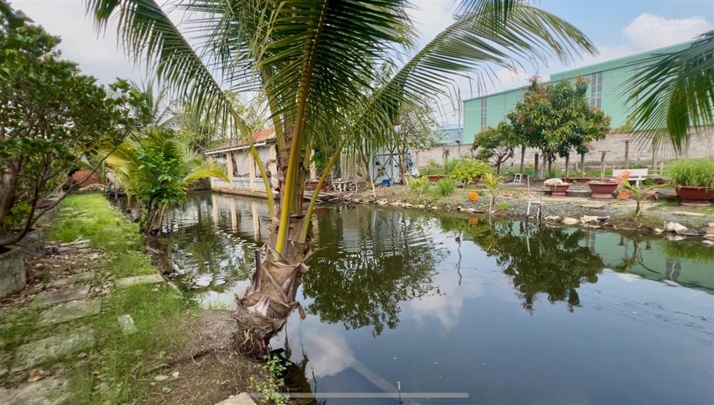Bán biệt thự lớn mặt tiền đường tỉnh lộ đt 826, xã mỹ lệ, cần đước, long an, tây ninh gần 3000m2