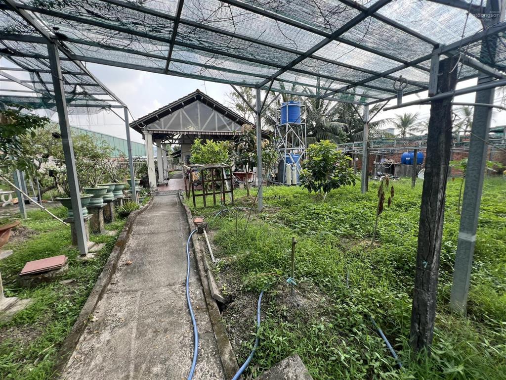 Bán biệt thự lớn mặt tiền đường tỉnh lộ đt 826, xã mỹ lệ, cần đước, long an, tây ninh gần 3000m2