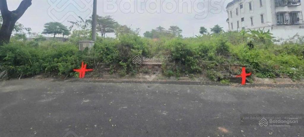 Bán lô đất thời báo kinh tế, diện tích 8x20m giá tốt nhất (sổ sẵn)