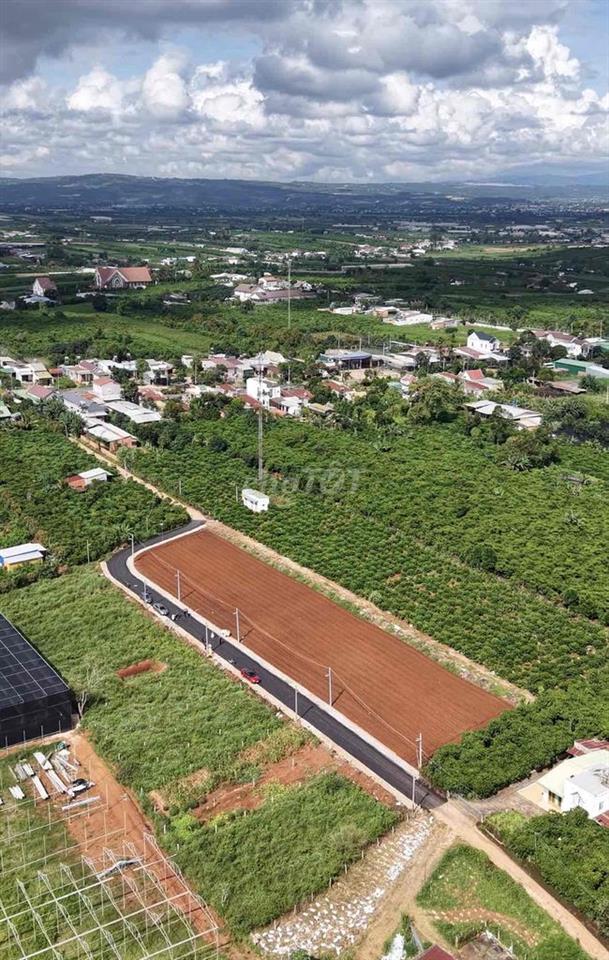 ĐẤT NGHỈ DƯỠNG VEN ĐÀ LẠT CÁCH SÂN BAY LIÊN KHƯƠNG 10km Cách TT ĐÀ LẠT