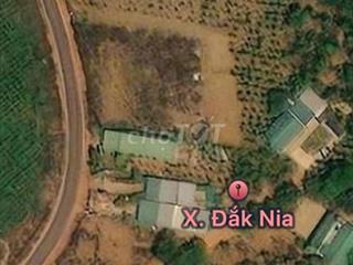 Đất Thổ cư Đăk Nia