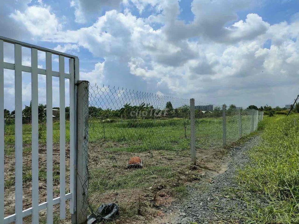 CHÍNH CHỦ BÁN 1.123M² ĐẤT XÃ ĐA PHƯỚC, BÌNH CHÁNH – SỔ RIÊNG – MIỄN TI