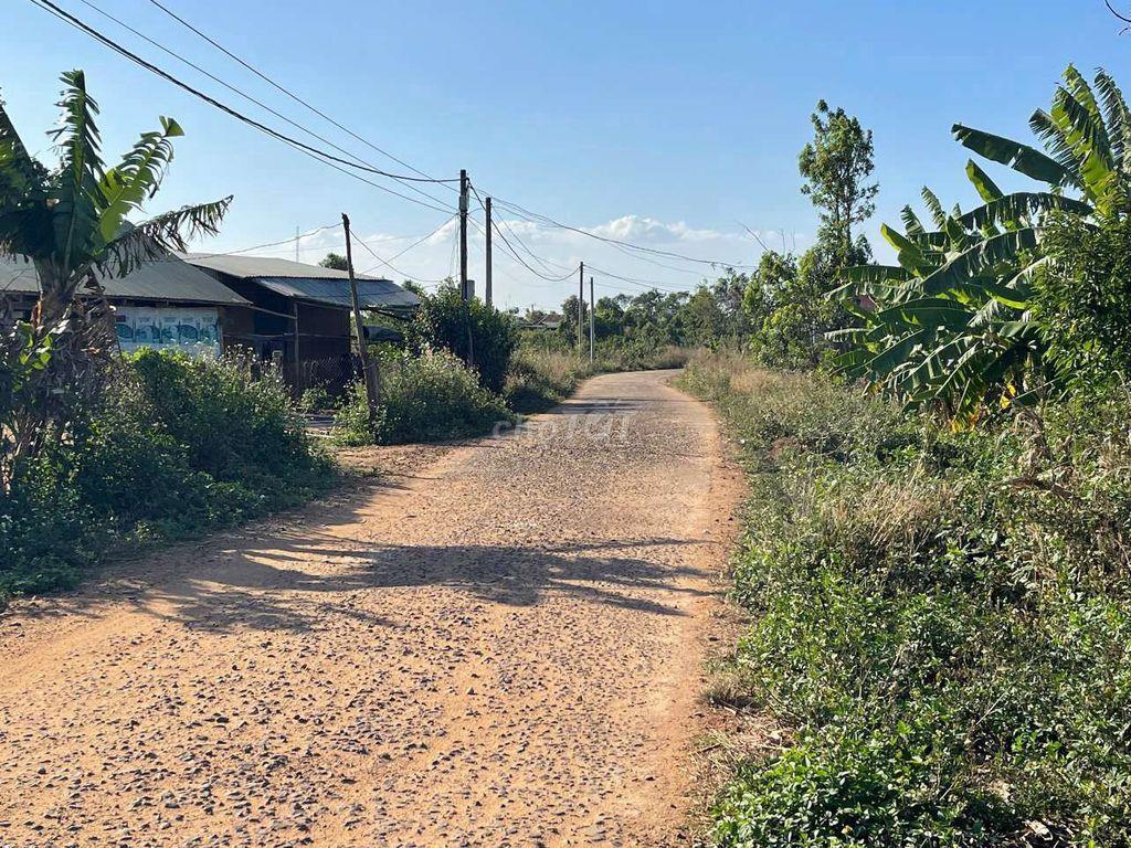 Bán Đất + Nhà Yến Gia Lai