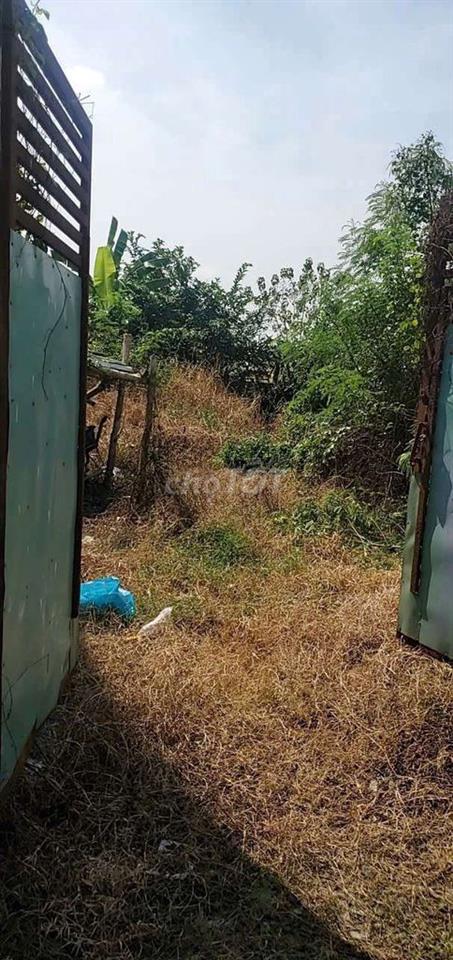 Cần bán đất vườn, có tường rào kiên cố