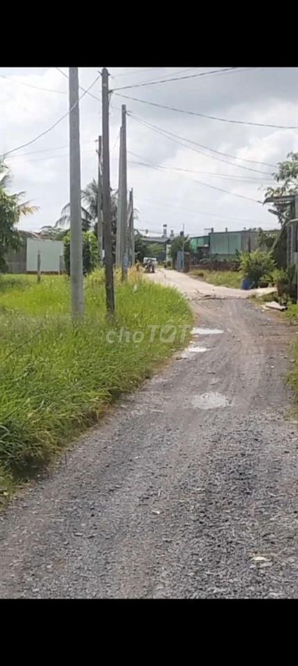đất vườn 