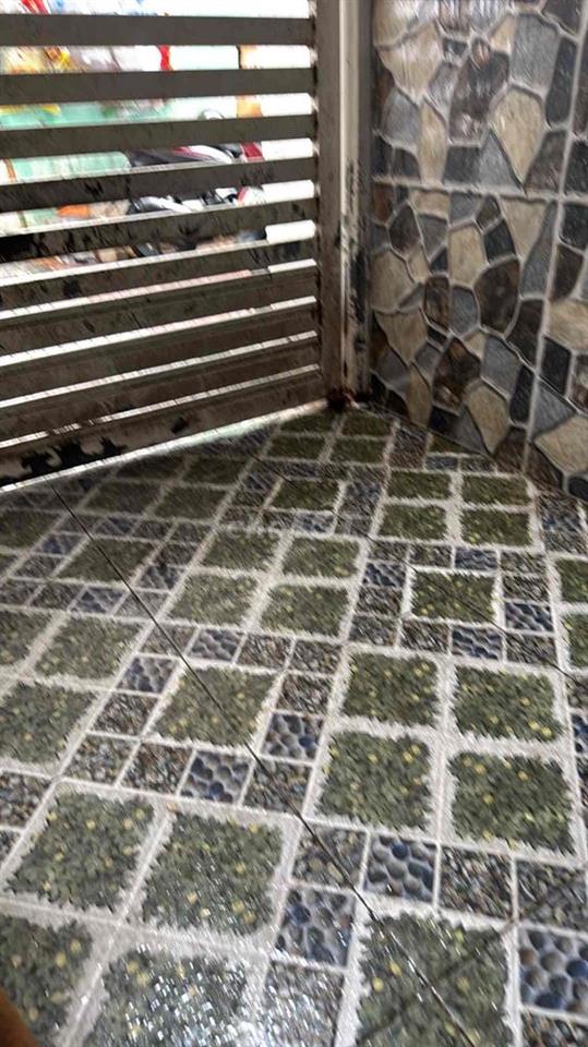 cho thuê phòng trọ giá rẻ