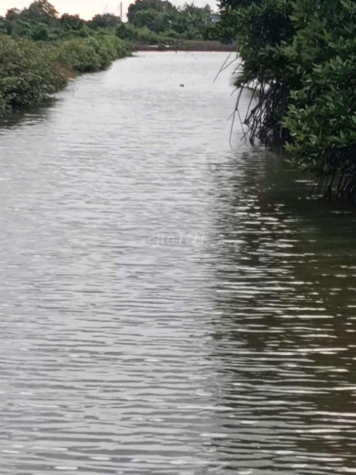 CẦN BÁN 8  CÔNG VUÔNG TẦM LỚN TẠI TÂN HÒA -TRẦN PHÁN -ĐẦM DƠI