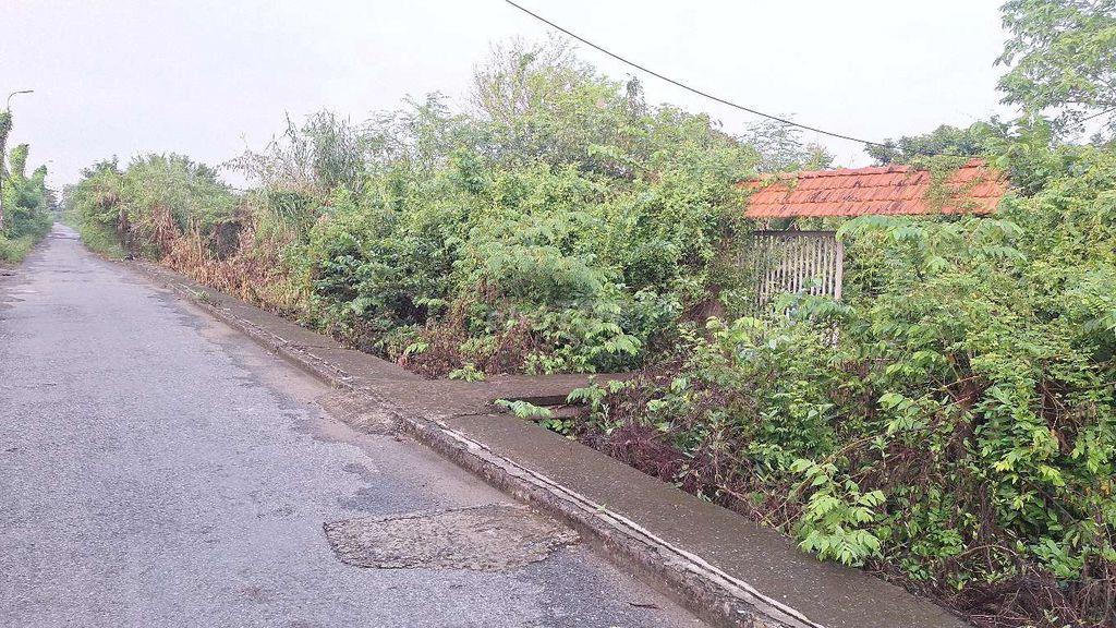 CHÍNH CHỦ-Bán 1000m2 đất vườn xã Bình Chánh, TP. HCM