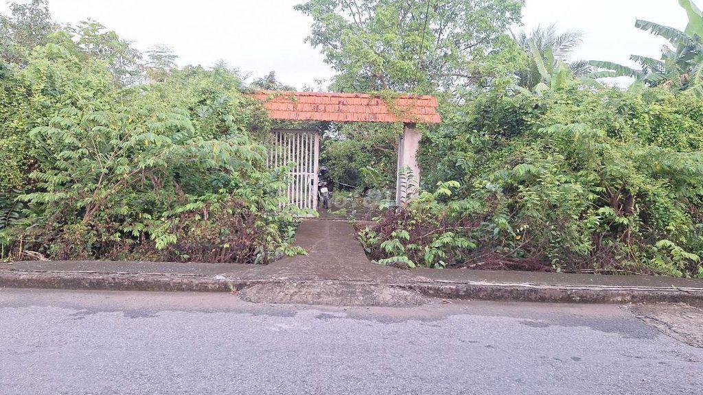 CHÍNH CHỦ-Bán 1000m2 đất vườn xã Bình Chánh, TP. HCM