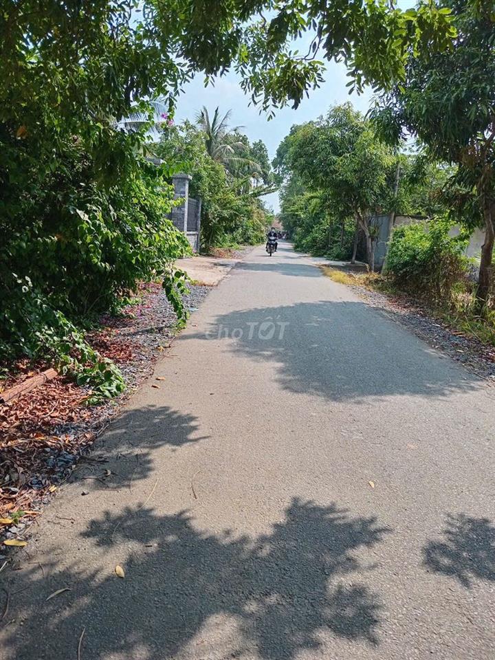 Chính chủ bán đất Thái Mỹ, Củ Chi
