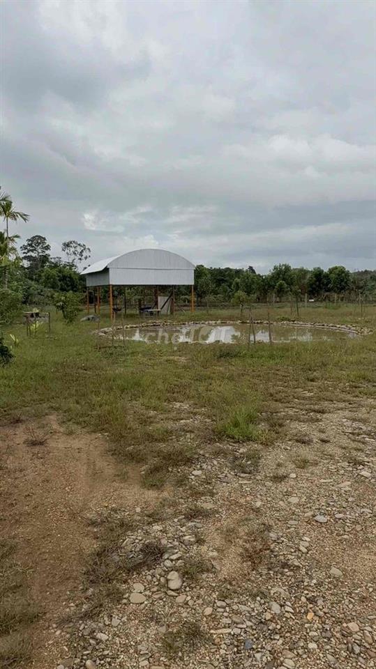 CHÍNH CHỦ CẦN BÁN NHANH MẢNH ĐẤT VƯỜN SINH THÁI GẦN 6.000M²