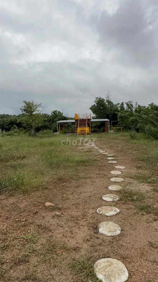 CHÍNH CHỦ CẦN BÁN NHANH MẢNH ĐẤT VƯỜN SINH THÁI GẦN 6.000M²