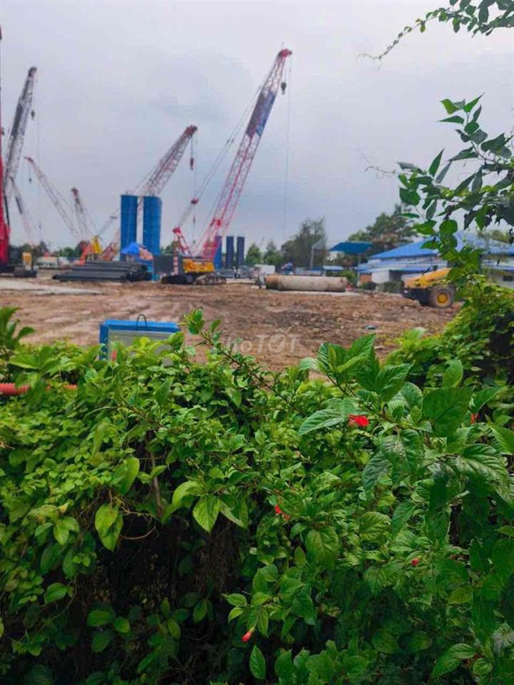 🌿 ĐẤT VƯỜN BÌNH NHÂM 90 – LÁI THIÊU, BÌNH DƯƠNG (NAY LÀ TP. HỒ CHÍ MIN