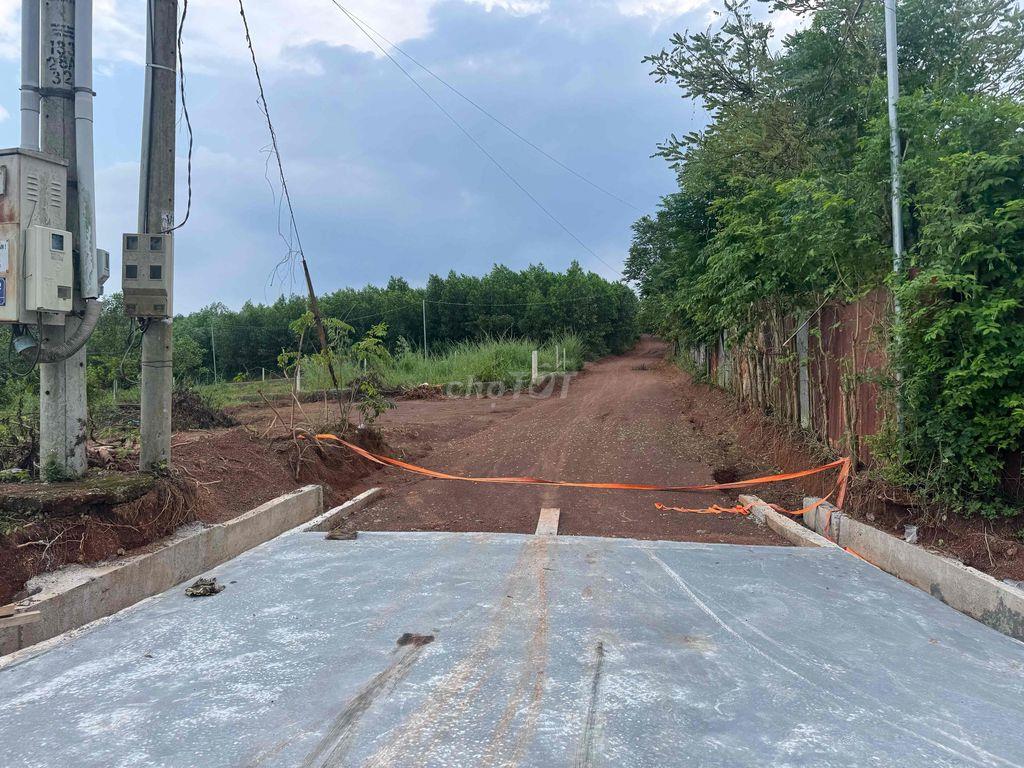 Cần bán 1 mẫu đất tại Ấp 5, xã Vĩnh Tân