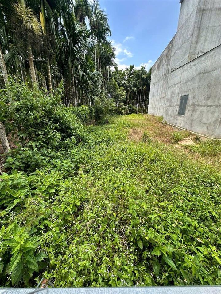 Chính chủ bán 215,7m² đất Võ Xu, 80m² thổ cư, sổ riêng, bao sang tên