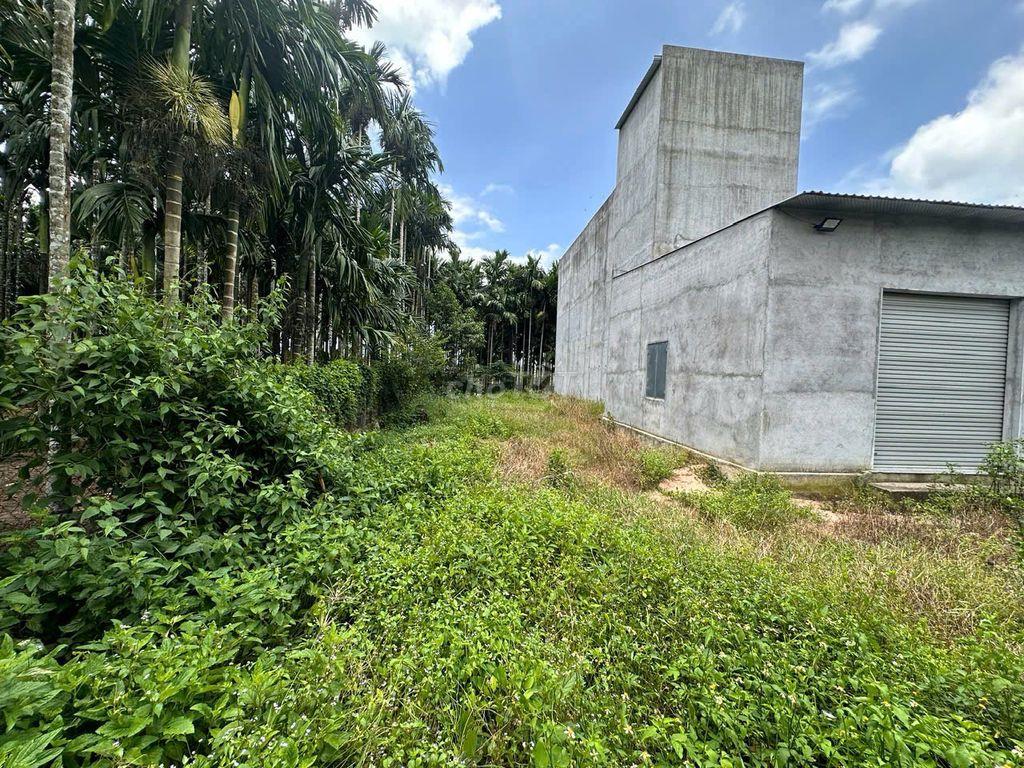 Chính chủ bán 215,7m² đất Võ Xu, 80m² thổ cư, sổ riêng, bao sang tên