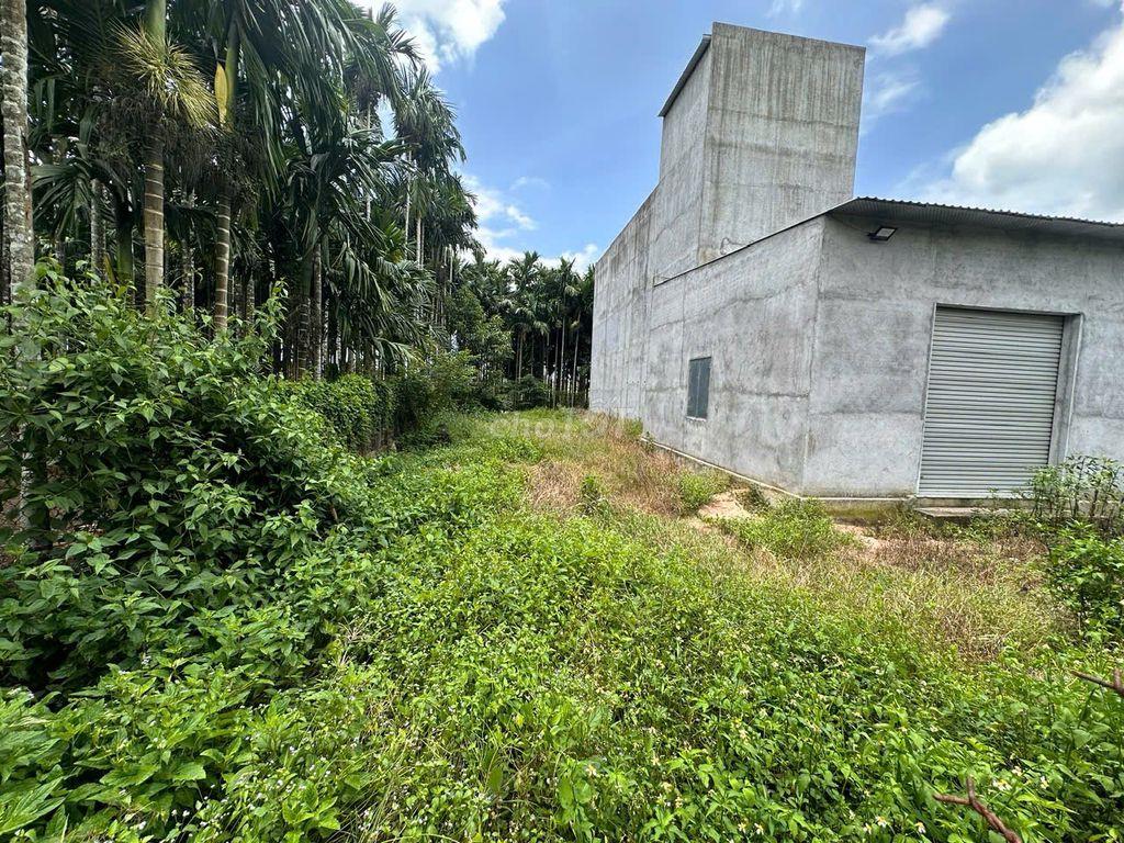 Chính chủ bán 215,7m² đất Võ Xu, 80m² thổ cư, sổ riêng, bao sang tên