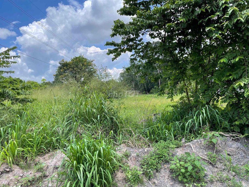 đất mặt tiền đường nhựa
