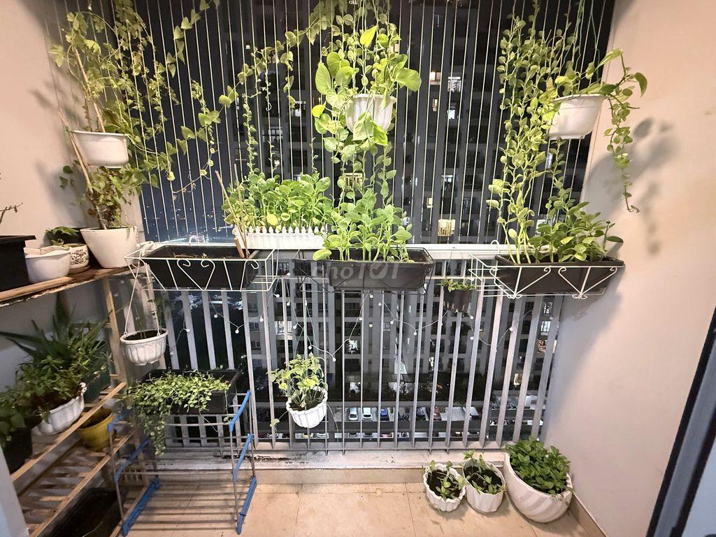 Cho thuê 1 pn trong căn hộ 2pn/2wc