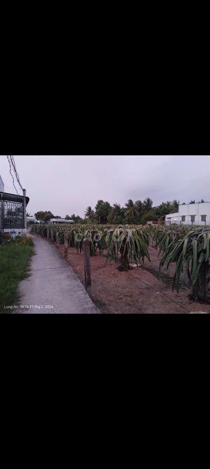 66m2 thổ cư, ấp 3 Thạnh Đức - Bến Lức