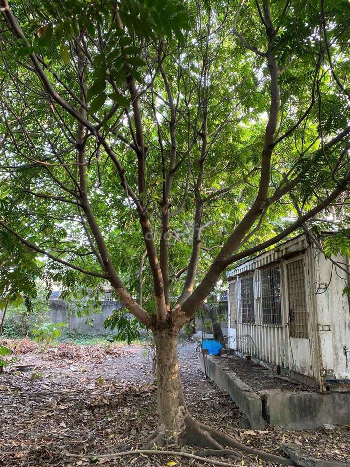 Bán đất Vĩnh Lộc A