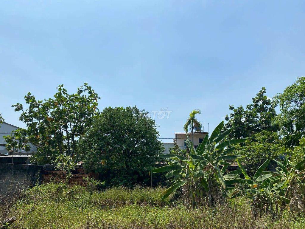 Bán đất Vĩnh Lộc A