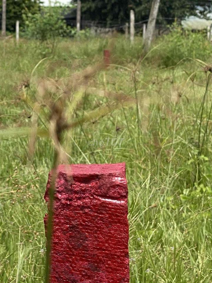 cần bán