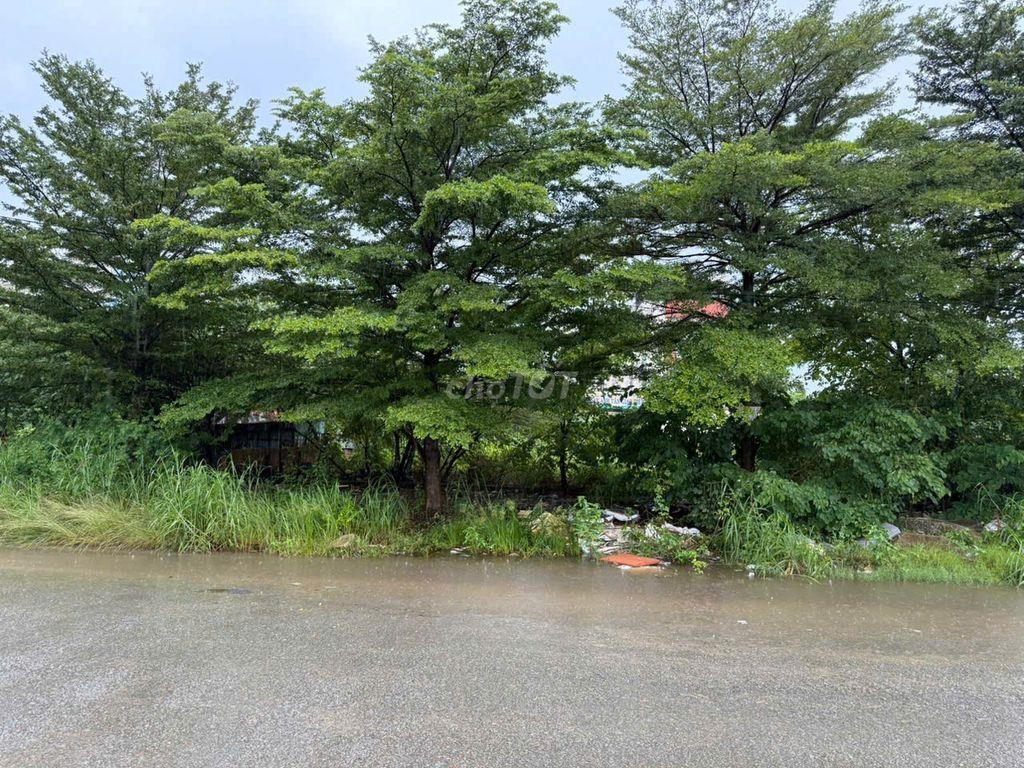 CHO THUÊ 2 LÔ ĐẤT MẶT TIỀN ĐƯỜNG NGUYỄN KHOA ĐĂNG