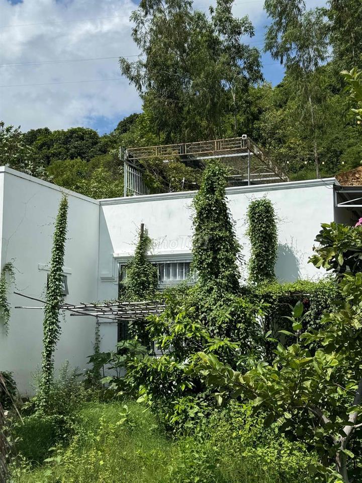 Villa Biệt Lập