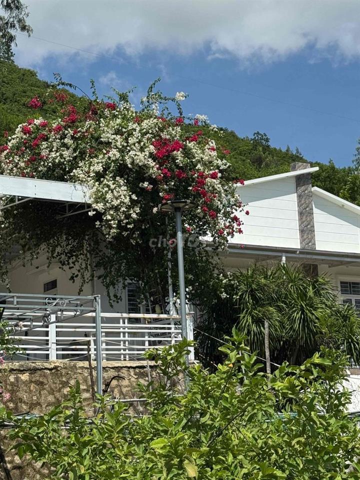 Villa Biệt Lập