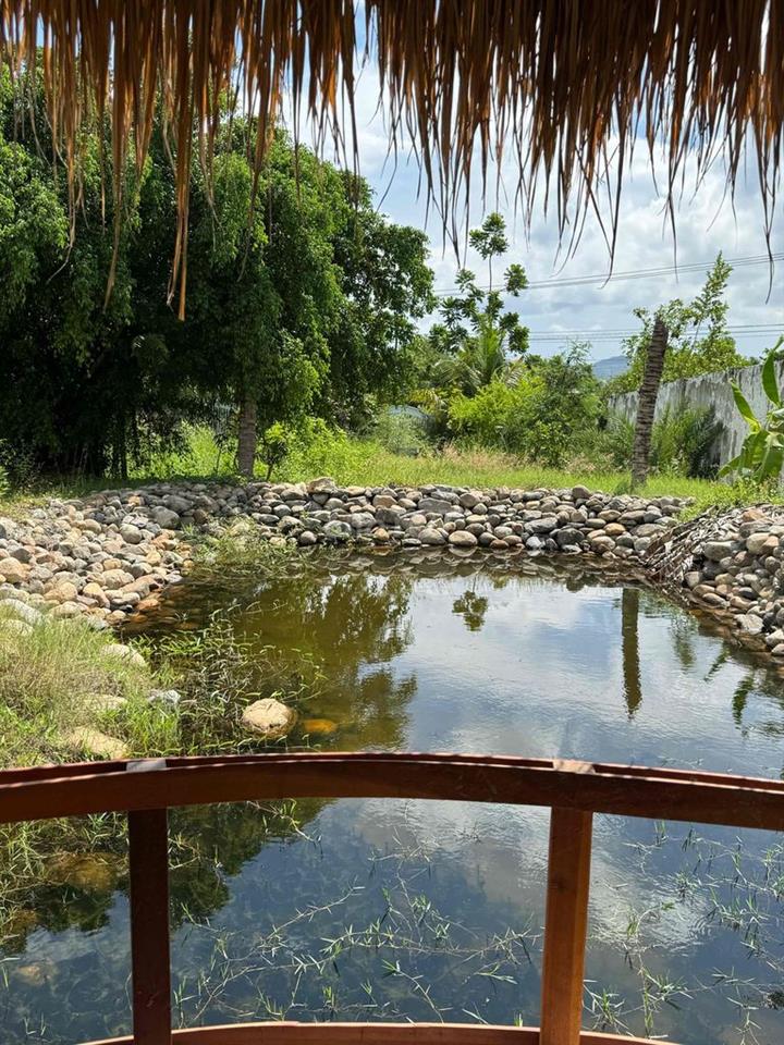 Villa Biệt Lập