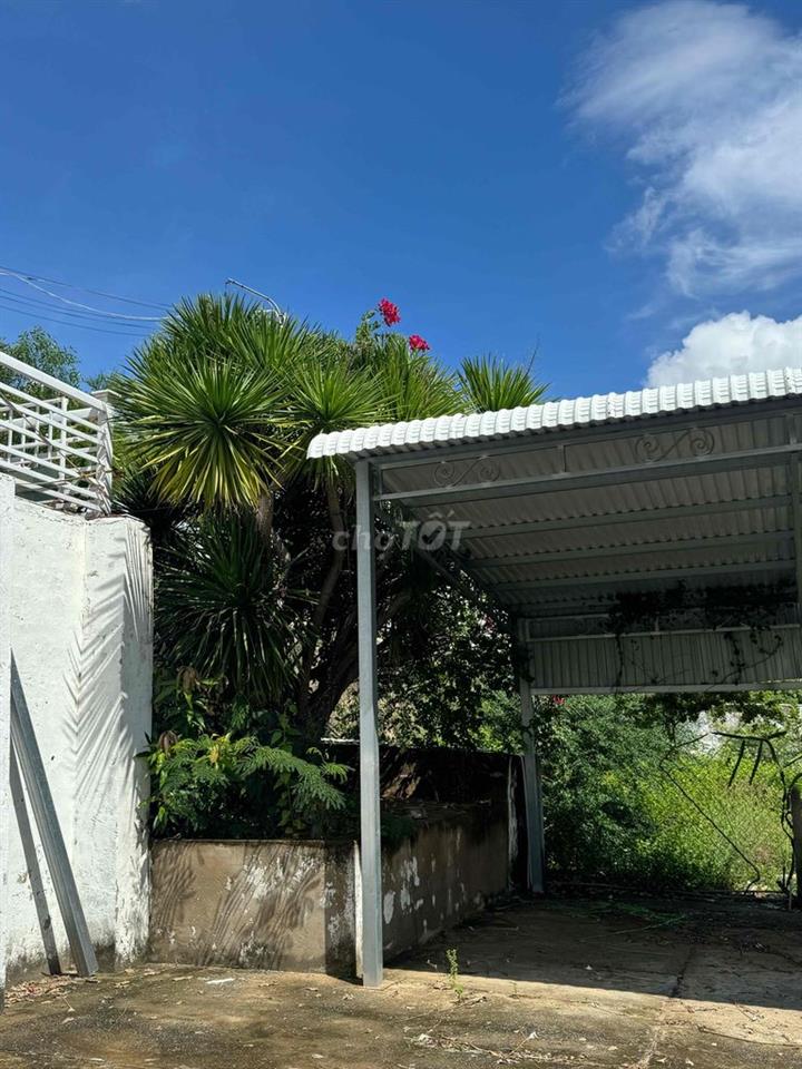Villa Biệt Lập