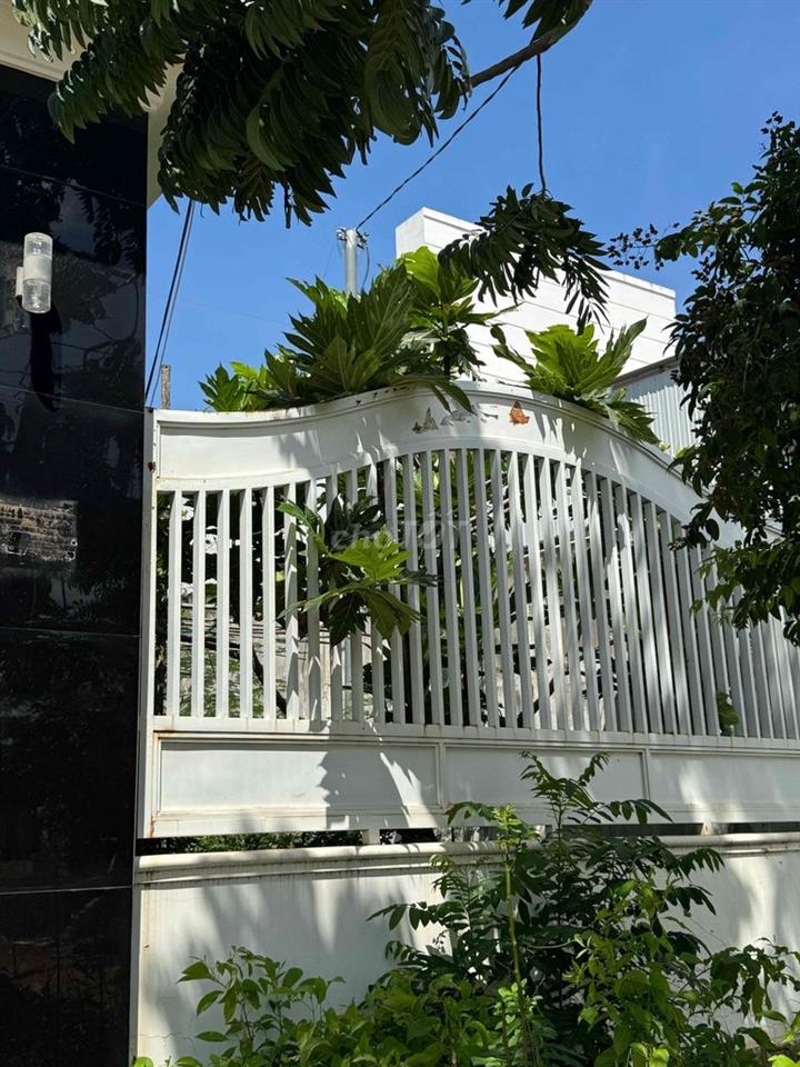 Villa Biệt Lập