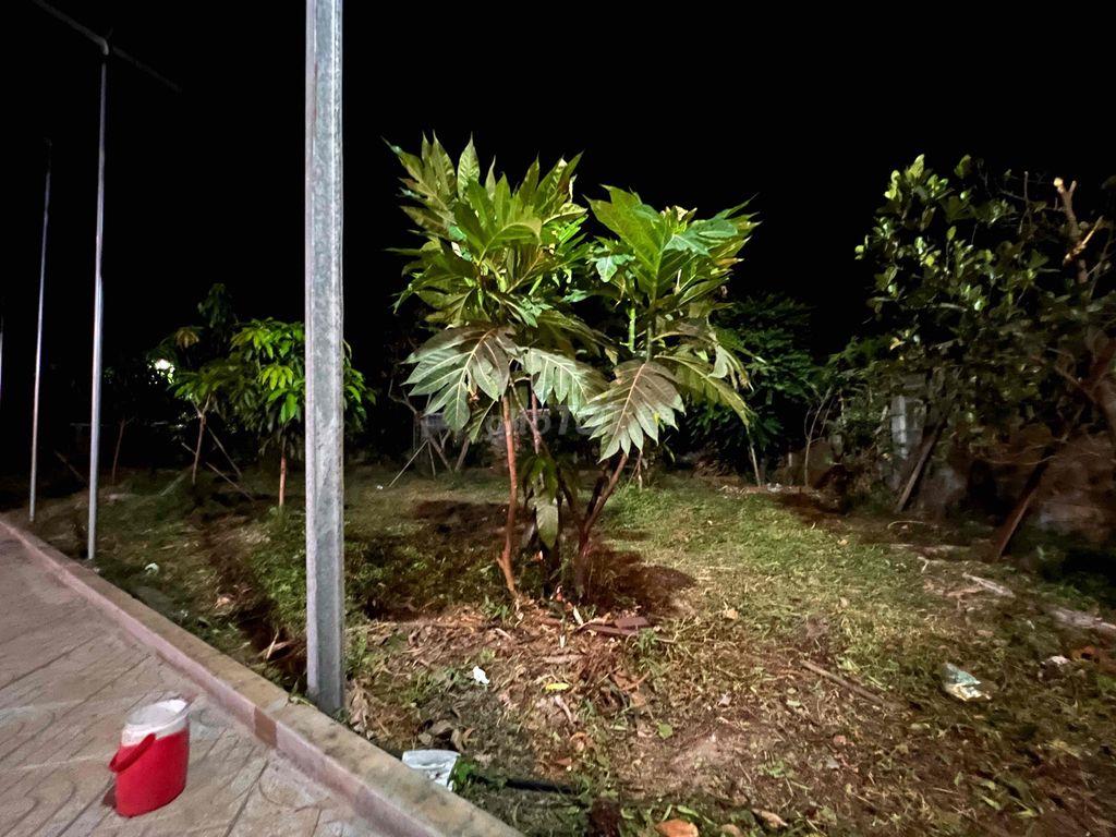 cho Thuê nhà Vườn