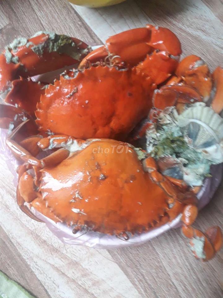 Cho thuê nhà nguyên căn